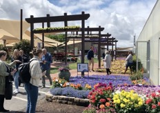 Busy already at the entrance at Ball Horticultura in Santa Paula. 